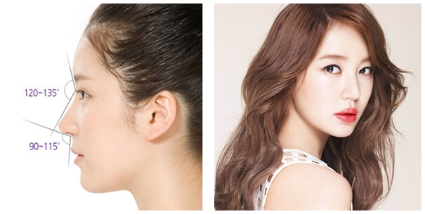 Low and blunt nose tip is changed into a sharp nose tip for a refined and feminine look.